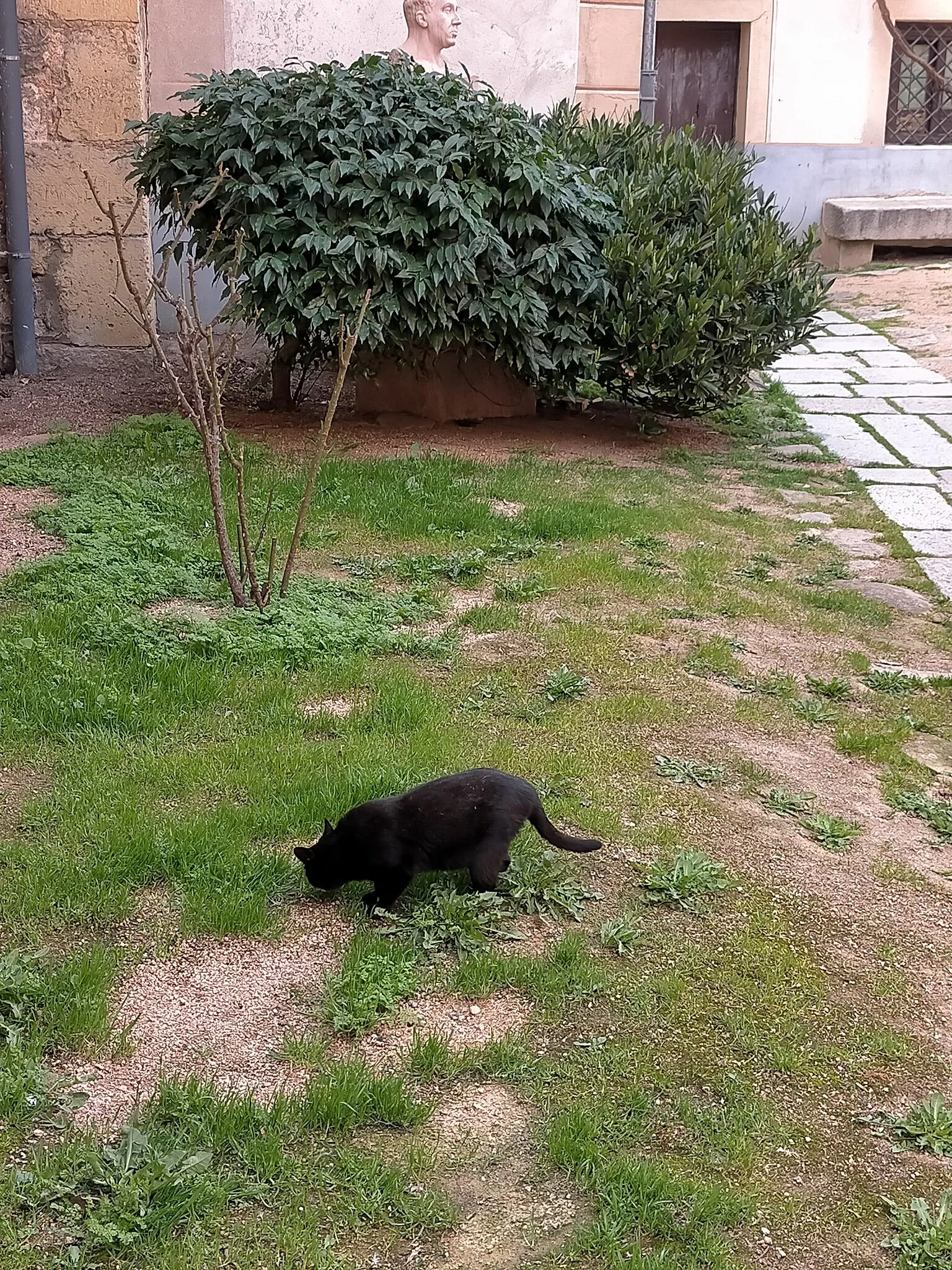 Antonio Machado House-Museum