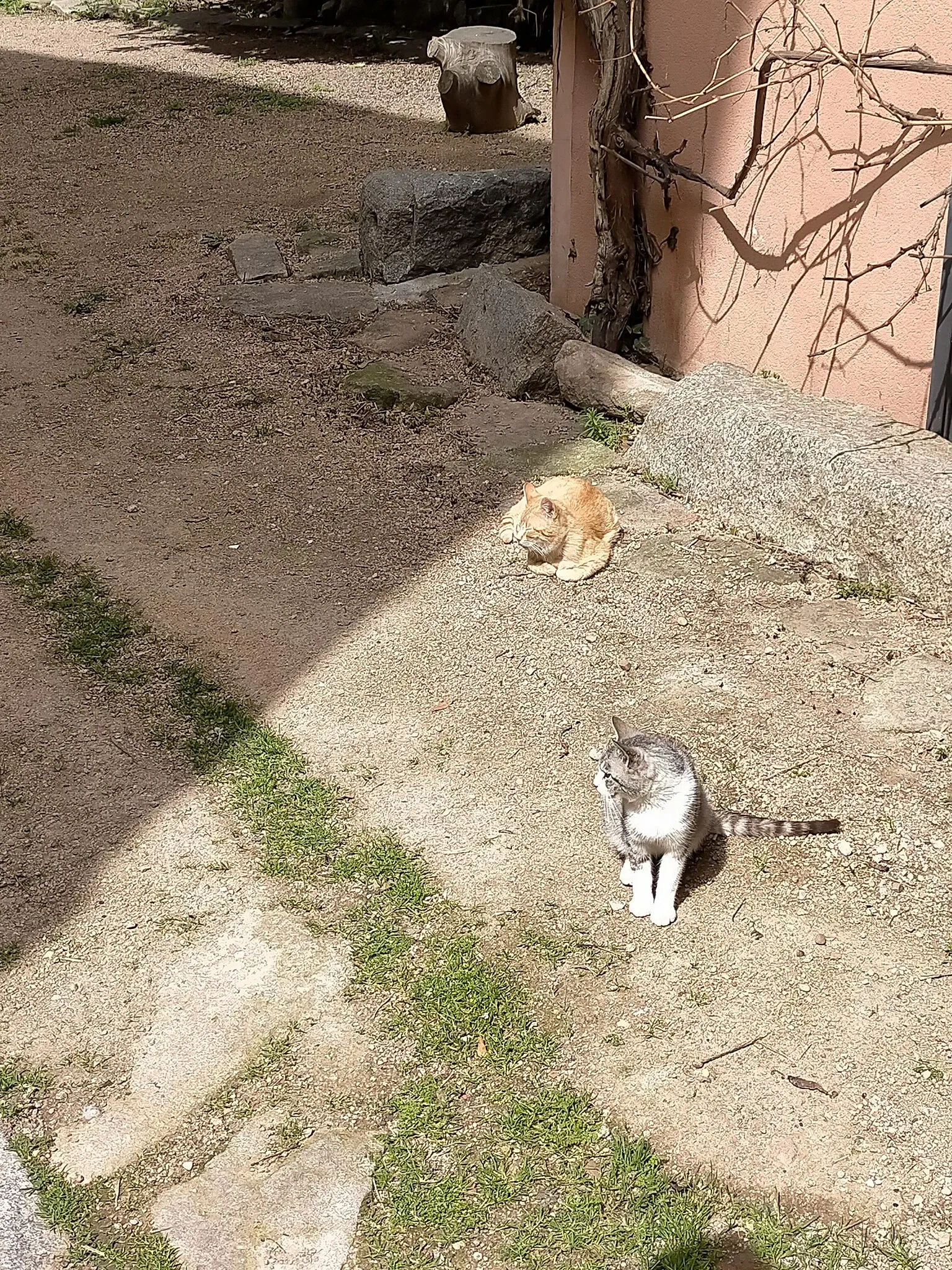 Antonio Machado House-Museum