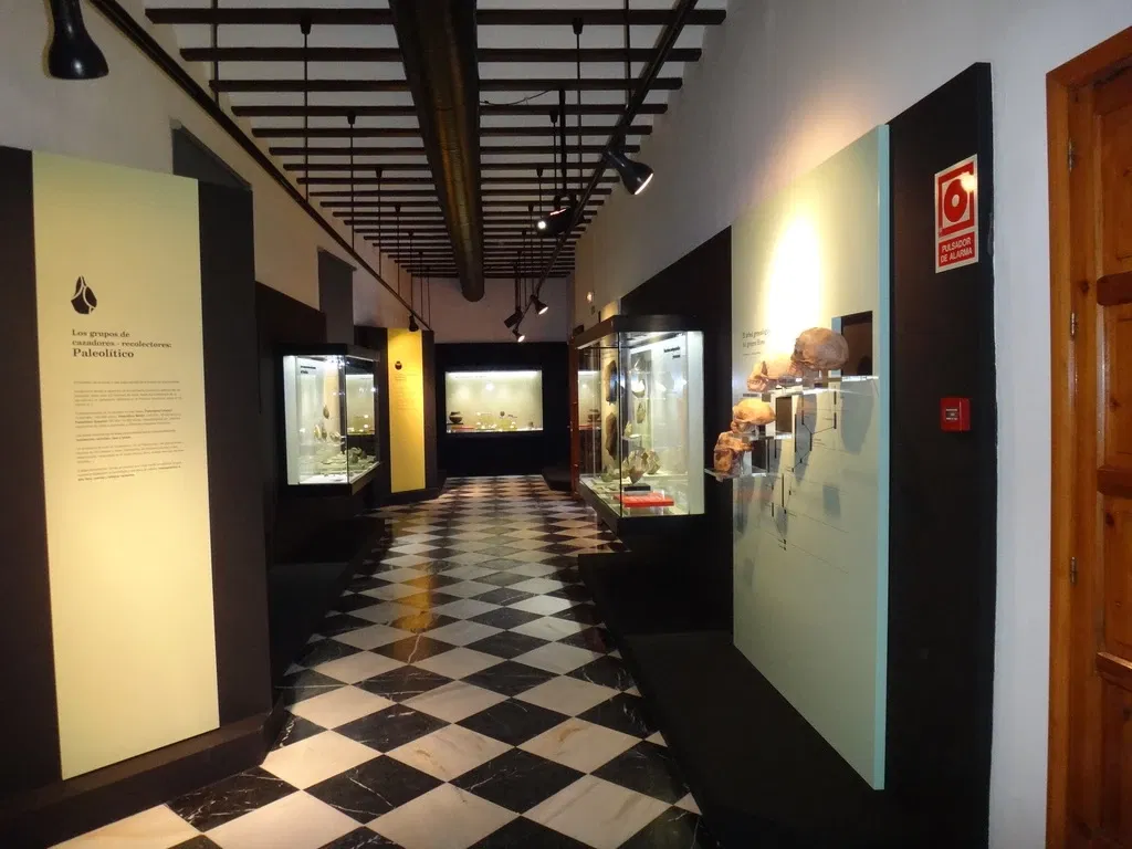 Museo Arqueológico Municipal de Jerez
