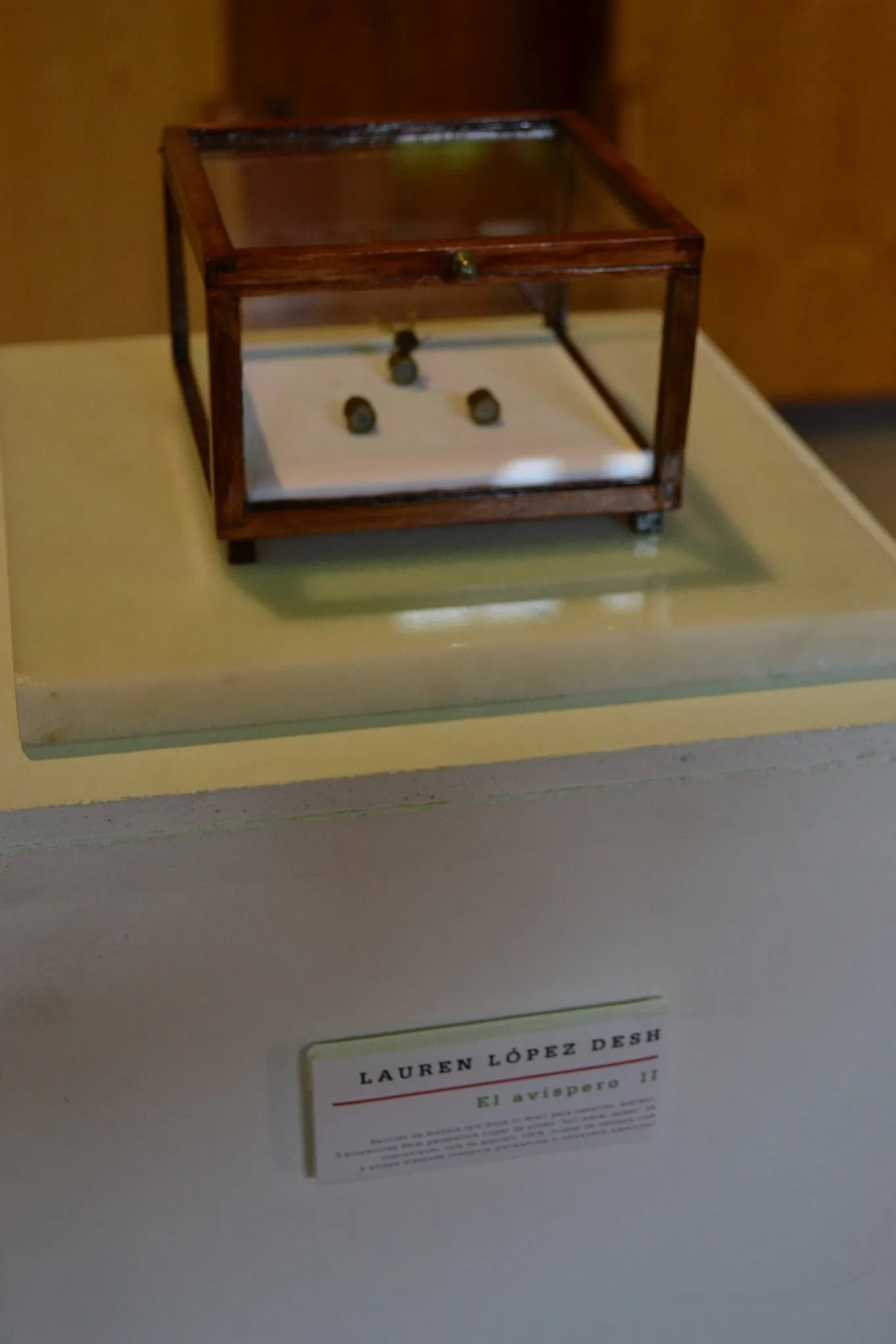 Museo Arqueológico Municipal de Jerez