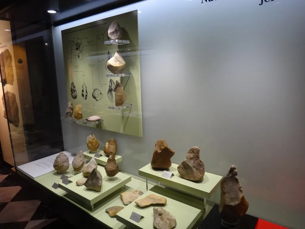 Museo Arqueológico Municipal de Jerez