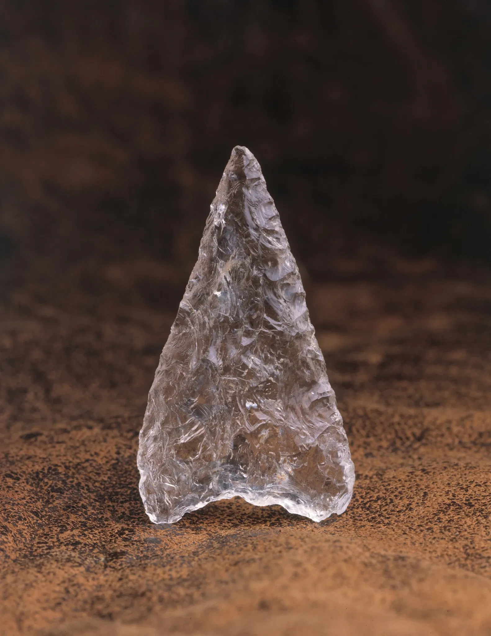 Laténium Park and Museum of Archeology