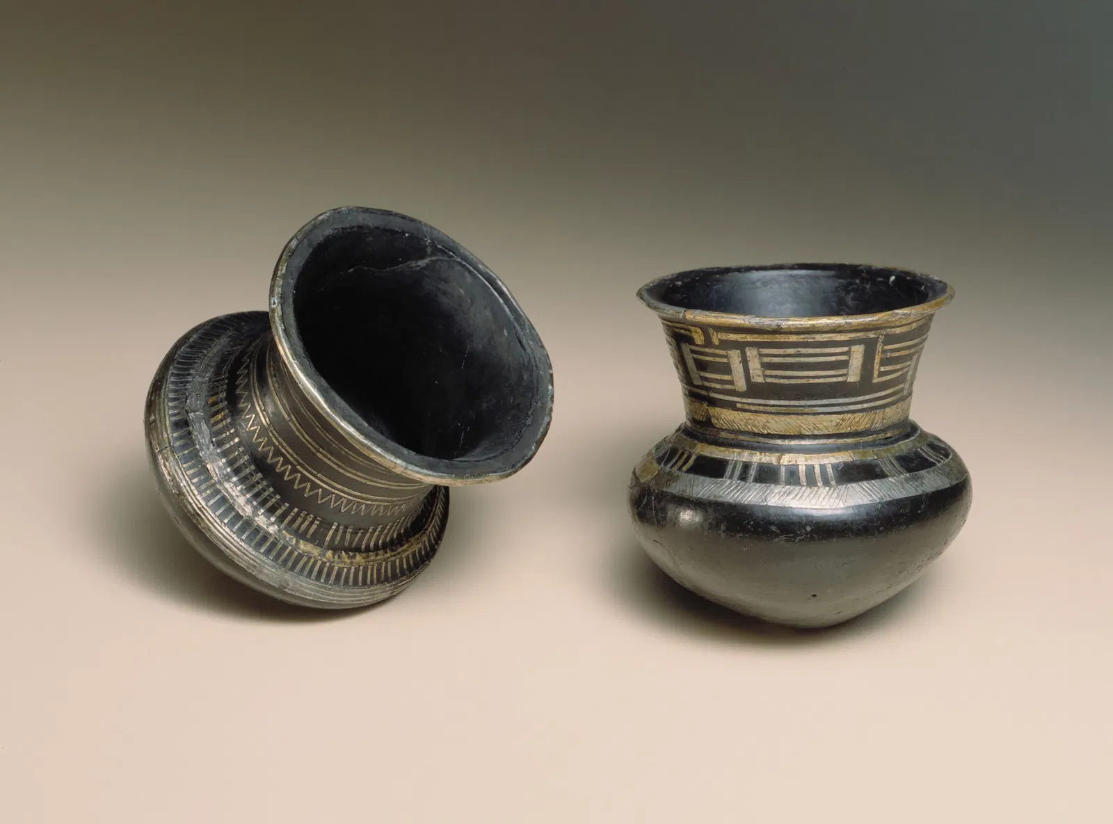 Laténium Park and Museum of Archeology