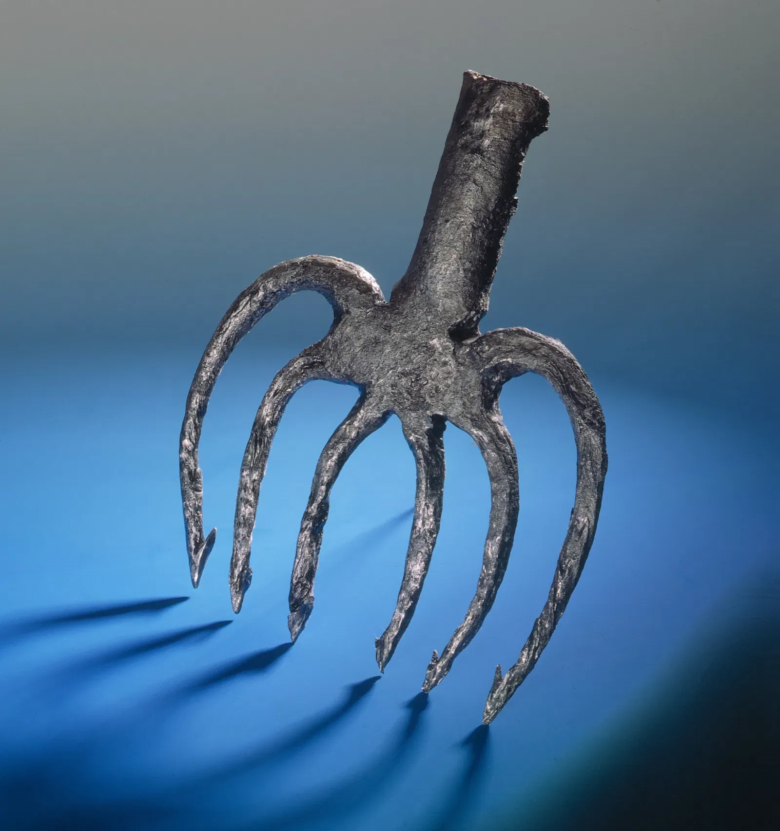 Laténium Park and Museum of Archeology