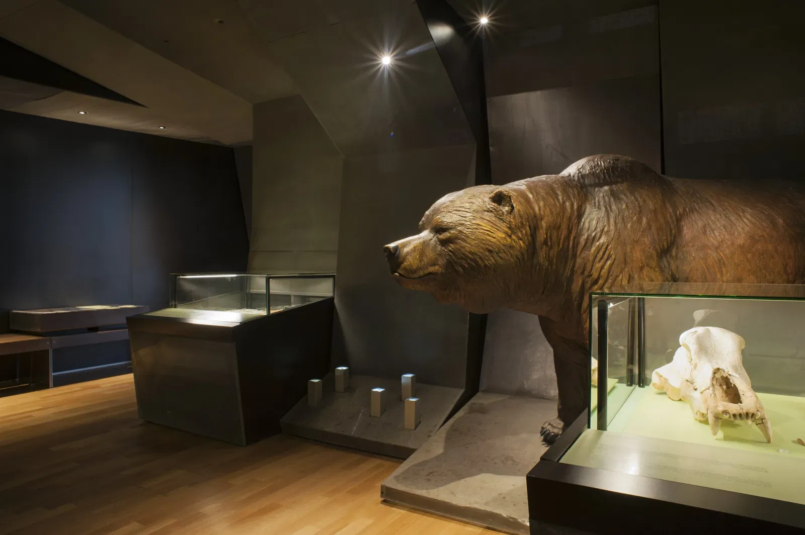 Laténium Park and Museum of Archeology