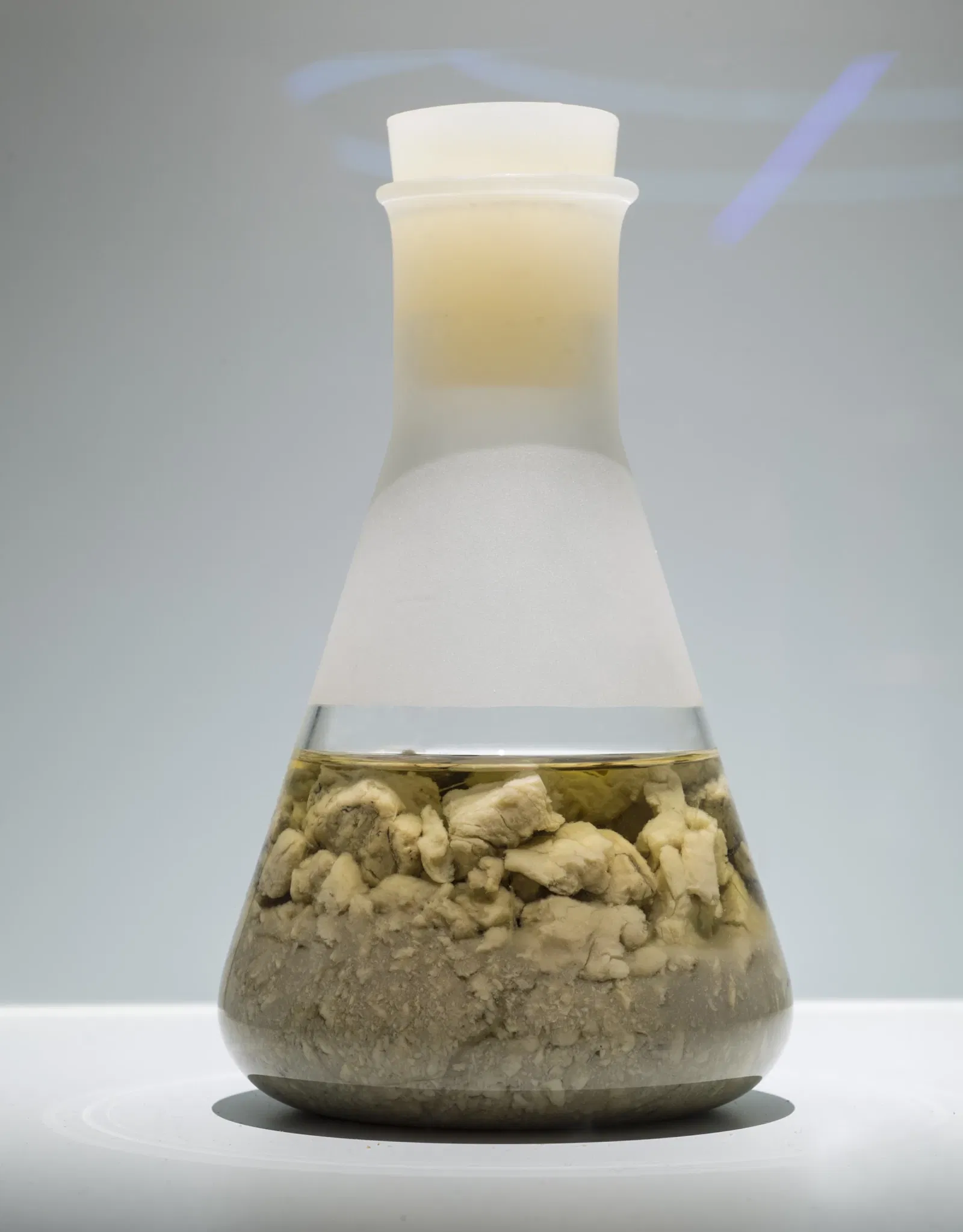 Laténium Park and Museum of Archeology