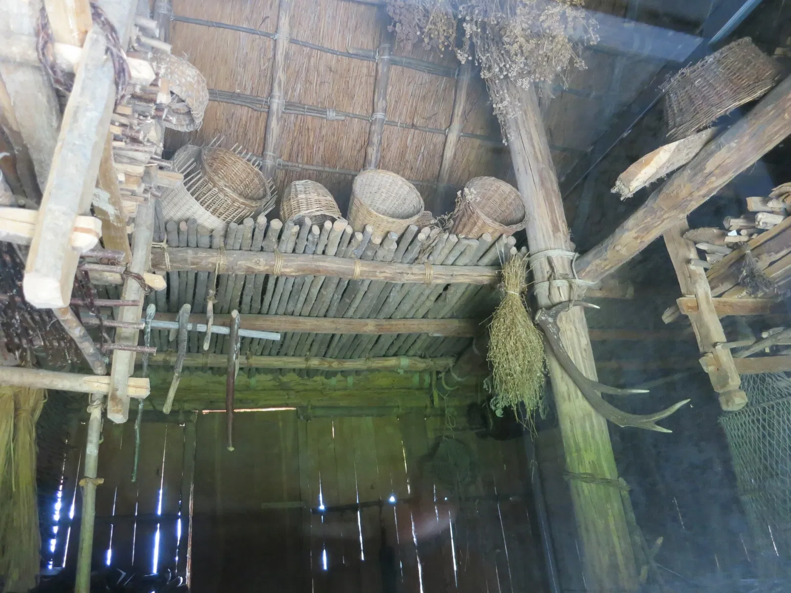 Laténium Park and Museum of Archeology