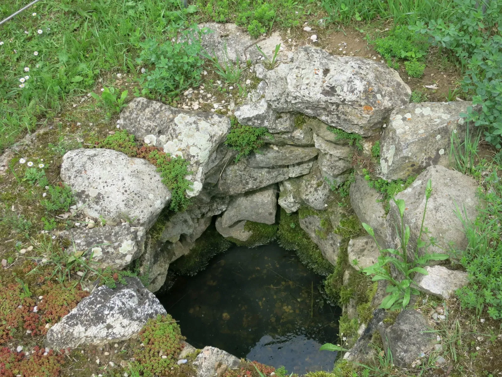 Laténium Park and Museum of Archeology