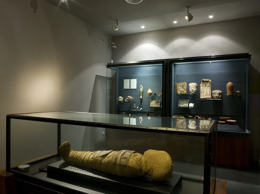 Biblioteca Museu Víctor Balaguer