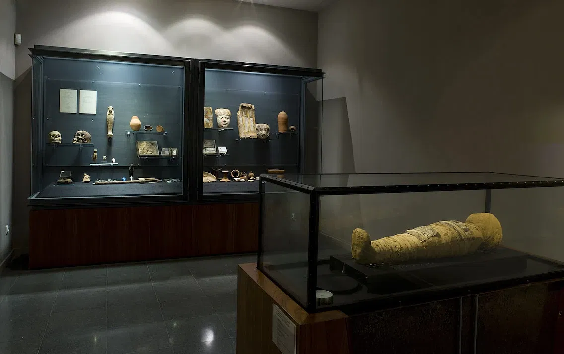 Biblioteca Museu Víctor Balaguer