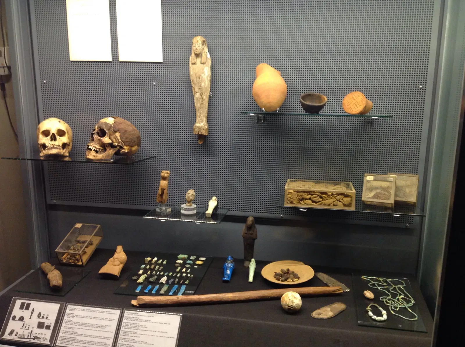 Biblioteca Museu Víctor Balaguer