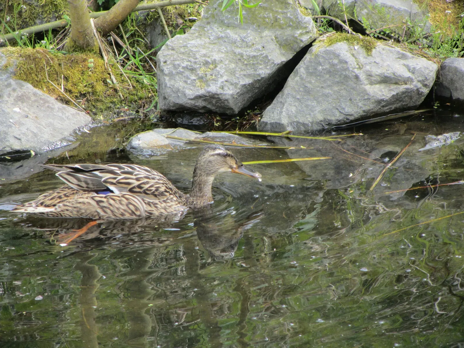Industriemuseum Freudenthaler Sensenhammer