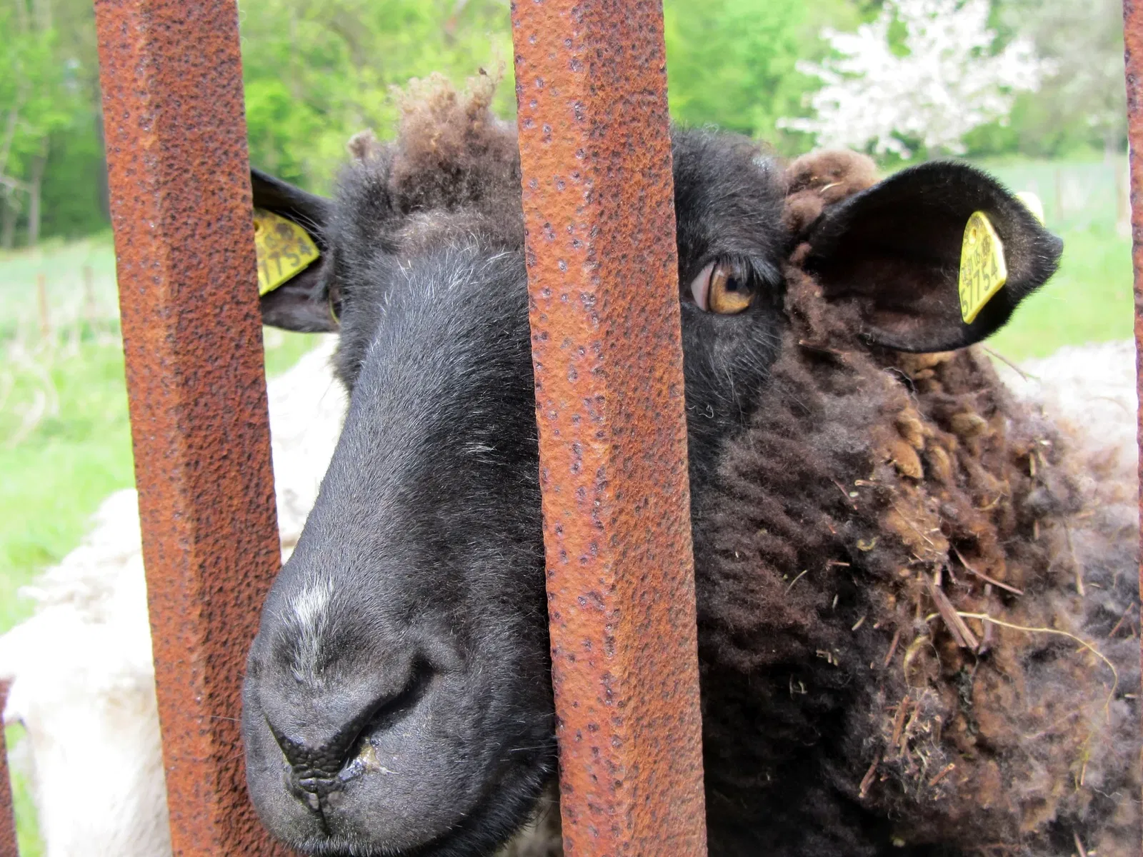 Industriemuseum Freudenthaler Sensenhammer
