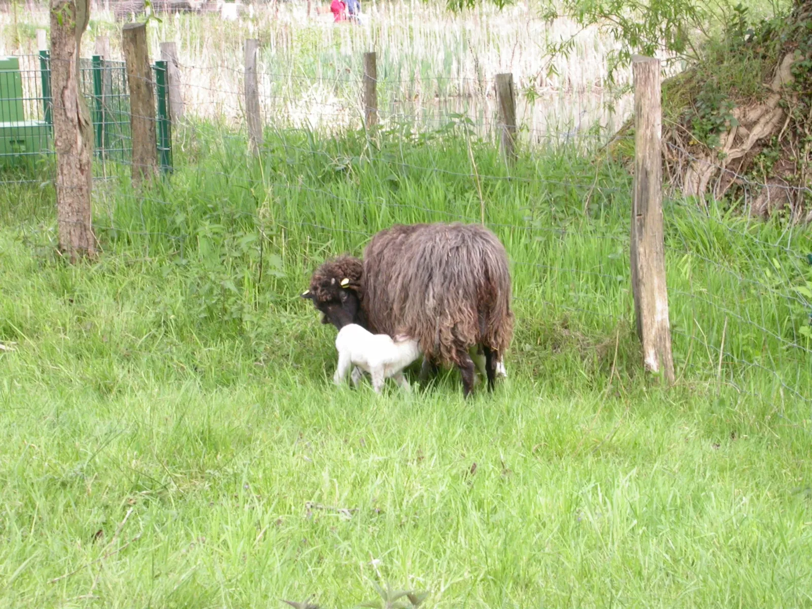 Industriemuseum Freudenthaler Sensenhammer