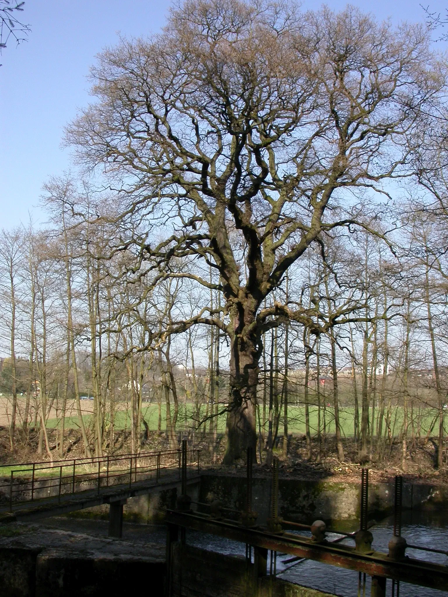 Industriemuseum Freudenthaler Sensenhammer