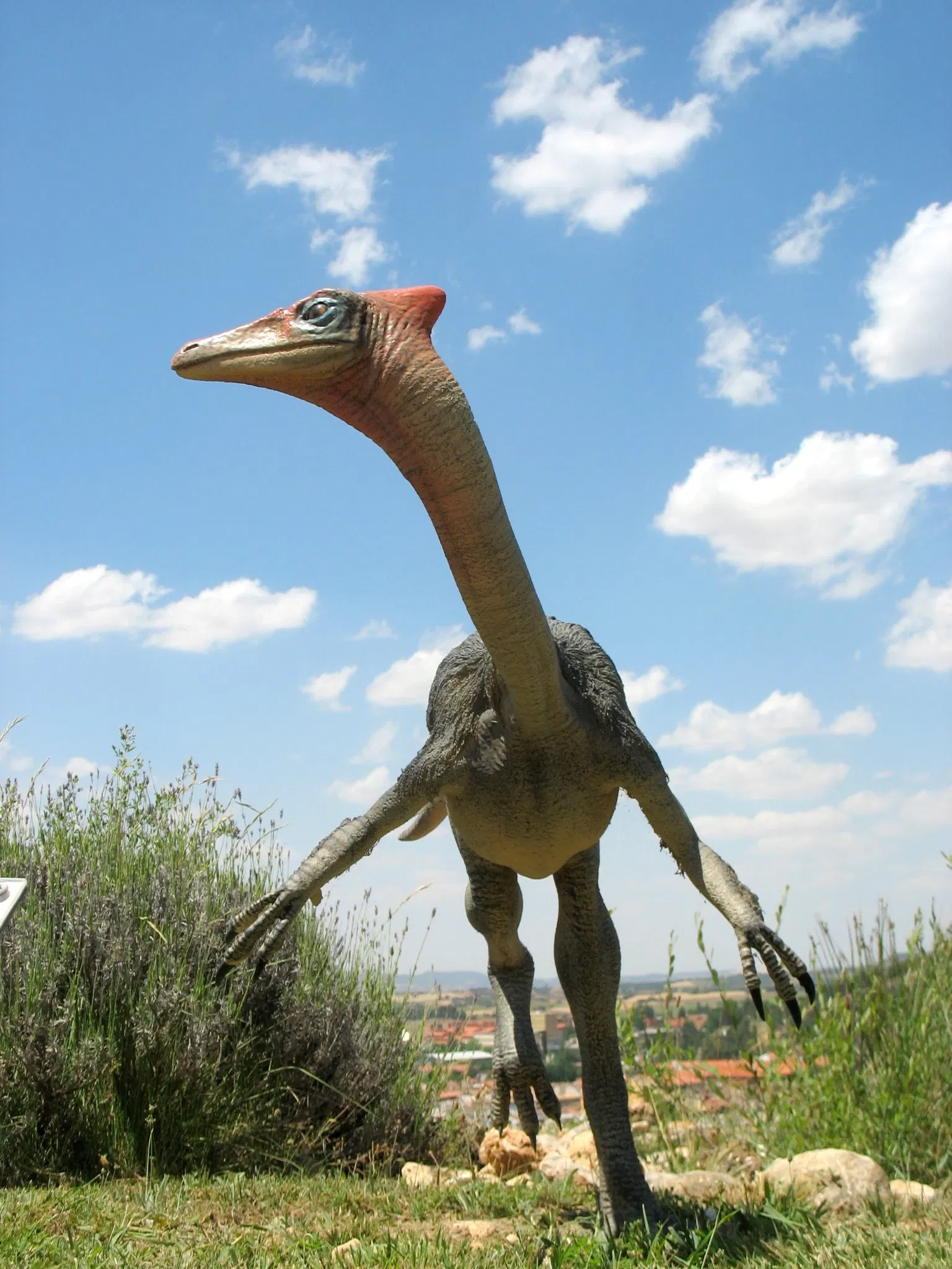 Museum of Paleontología de Castilla-La Mancha