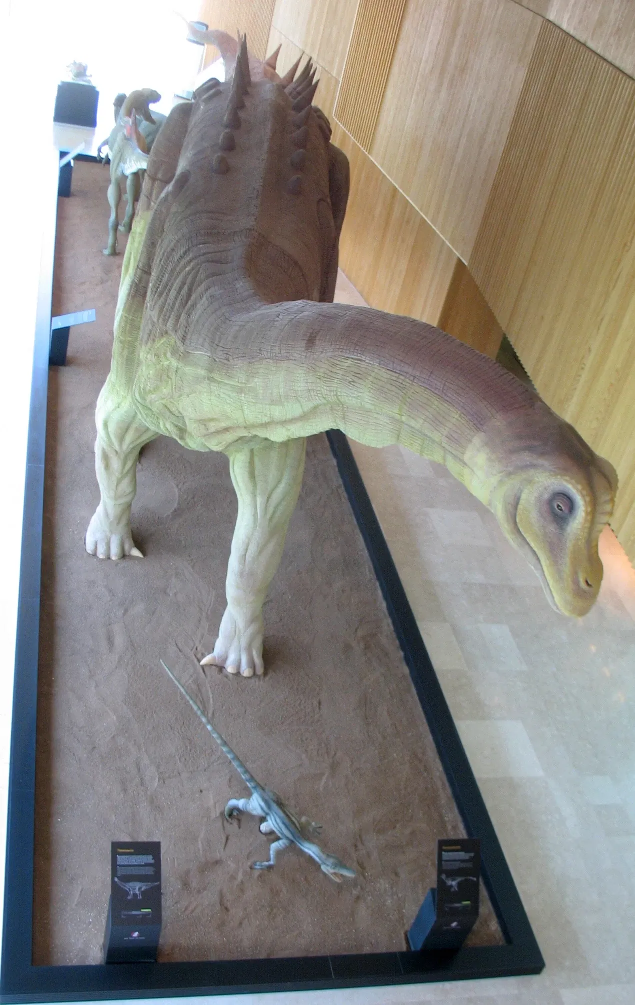 Museo Paleontológico de Castilla-La Mancha