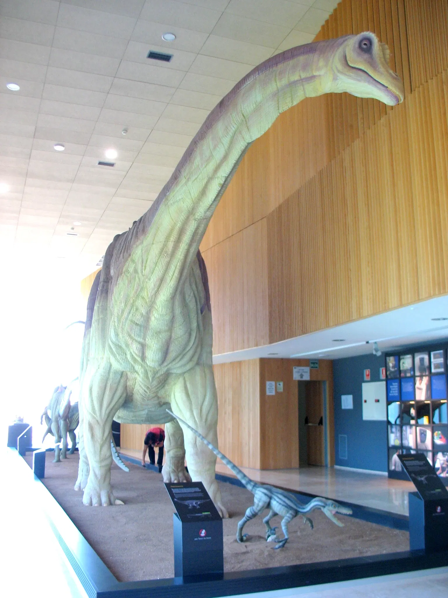 Museum of Paleontología de Castilla-La Mancha