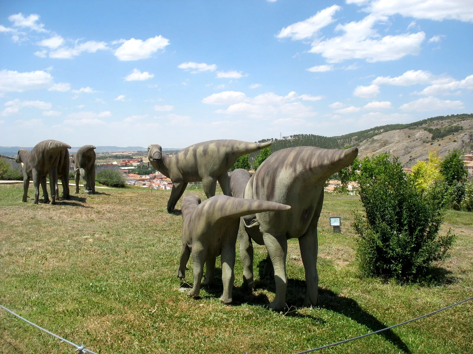 Museum of Paleontología de Castilla-La Mancha