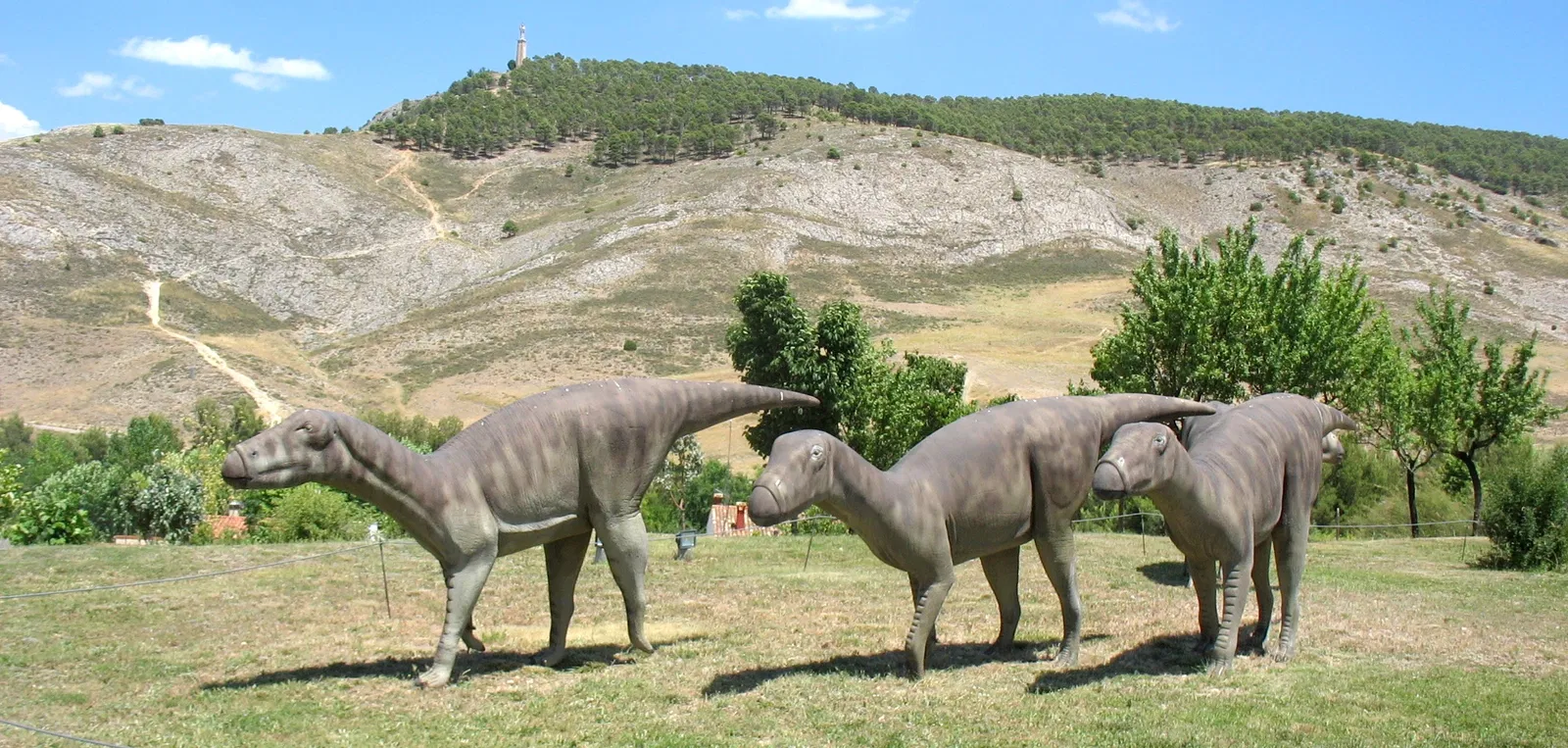 Museum of Paleontología de Castilla-La Mancha