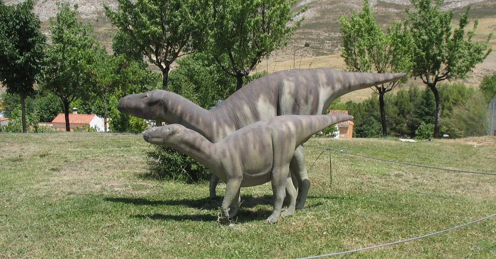 Museum of Paleontología de Castilla-La Mancha