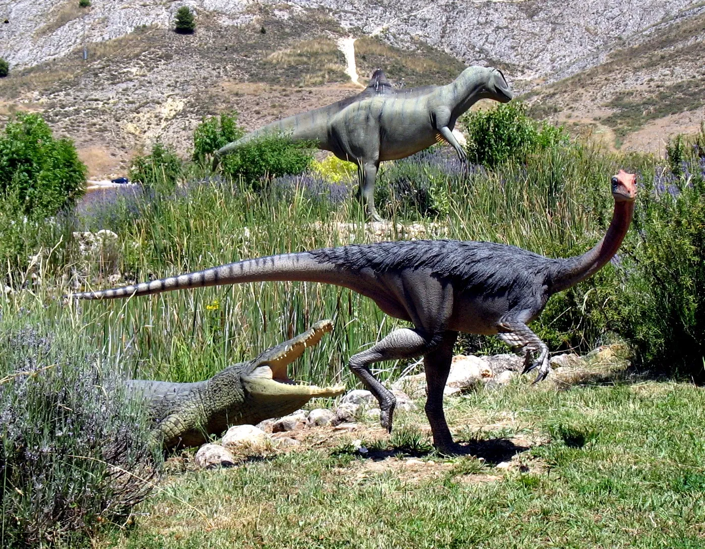 Museum of Paleontología de Castilla-La Mancha