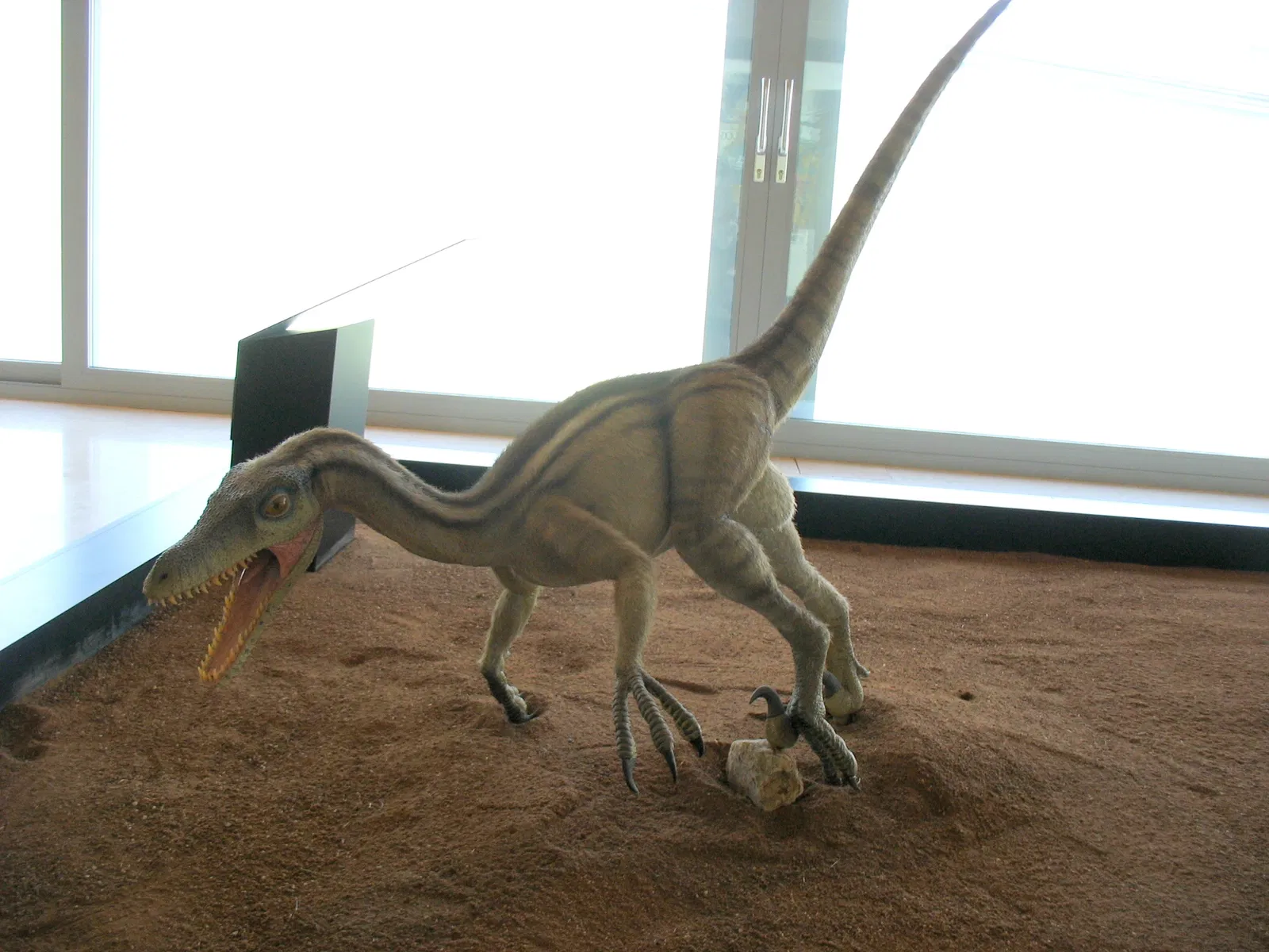 Museum of Paleontología de Castilla-La Mancha