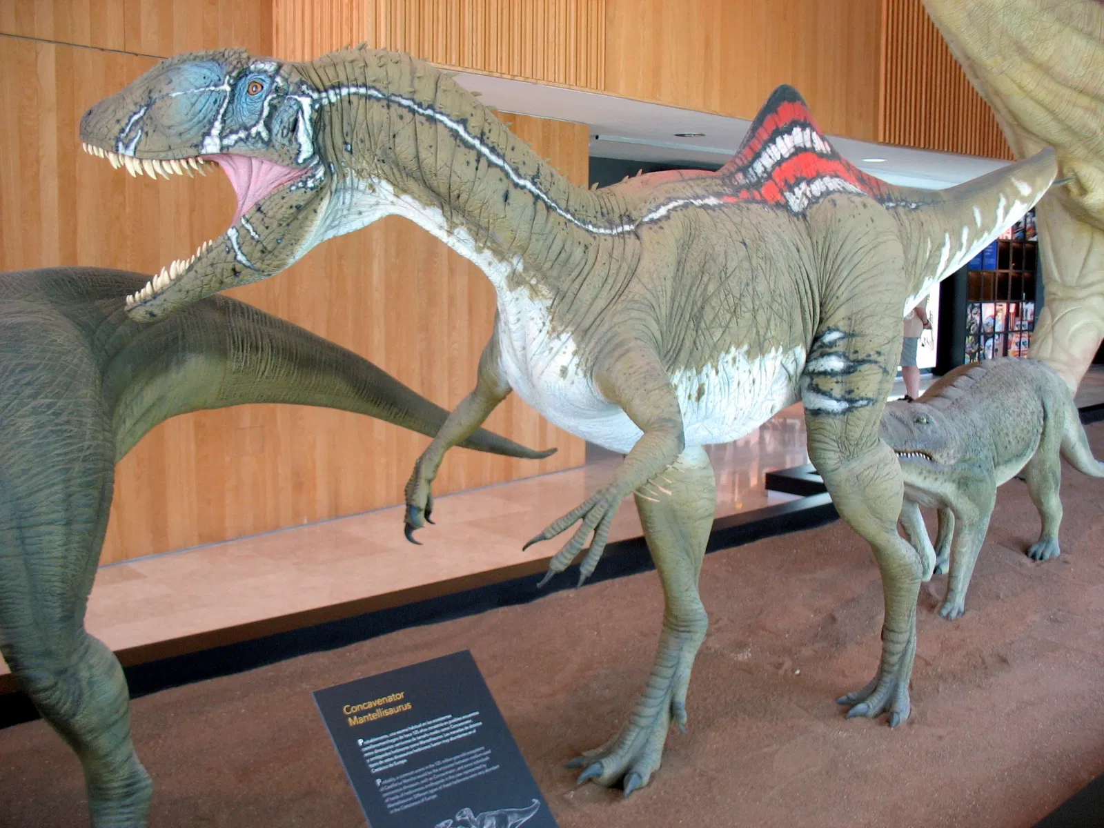 Museum of Paleontología de Castilla-La Mancha