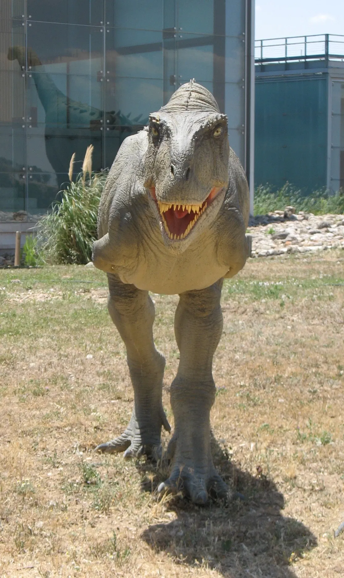 Museum of Paleontología de Castilla-La Mancha