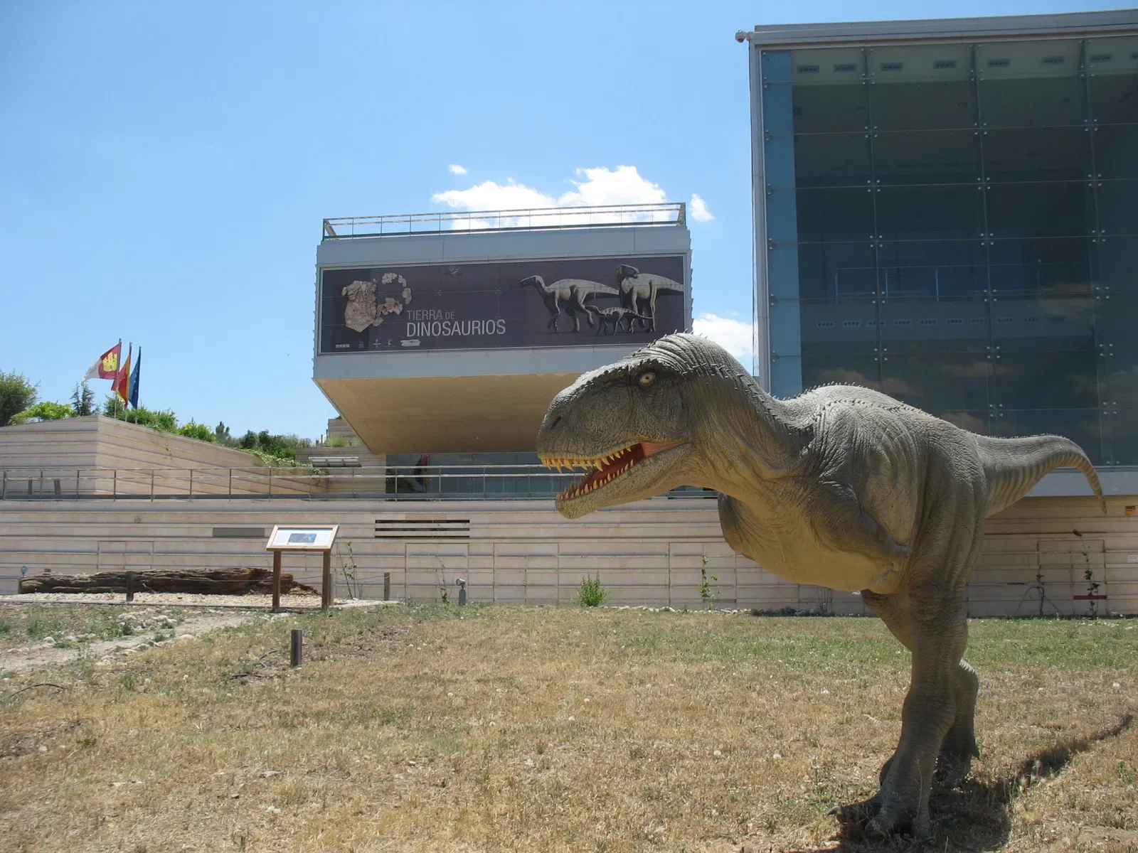 Museum of Paleontología de Castilla-La Mancha