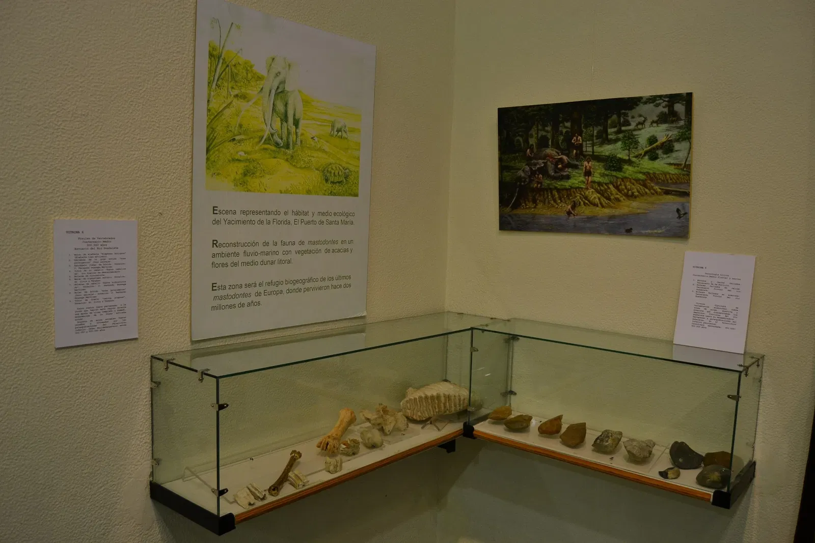 Museo Arqueológico Municipal