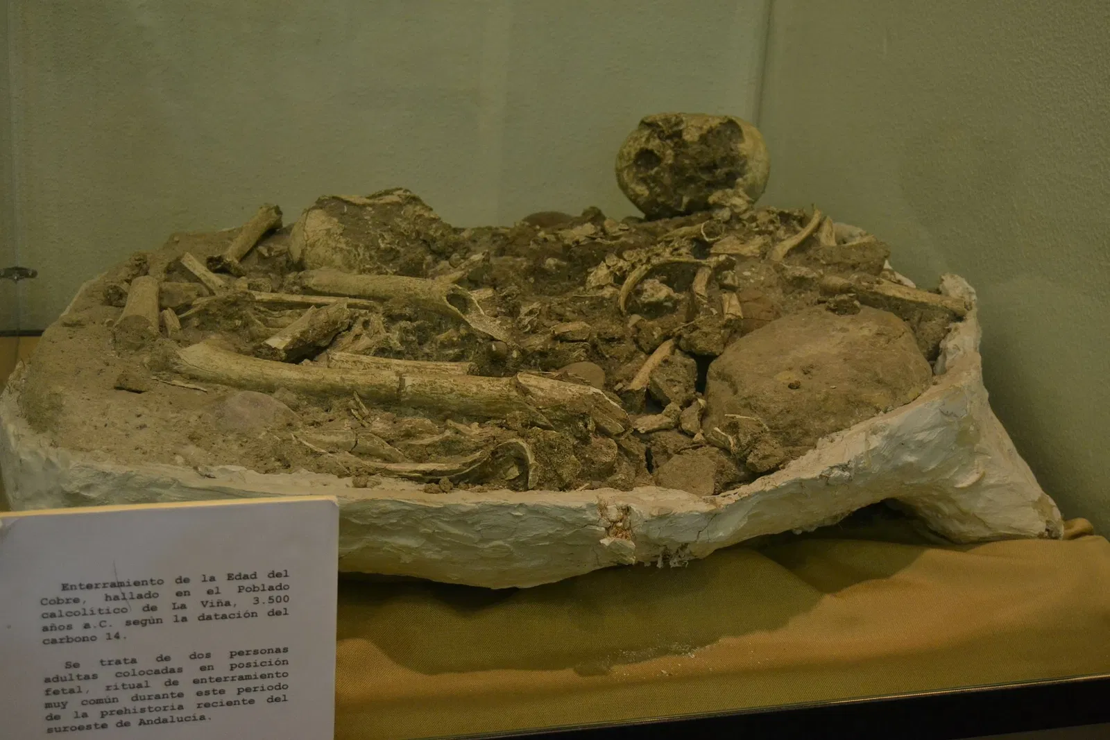 Museo Arqueológico Municipal