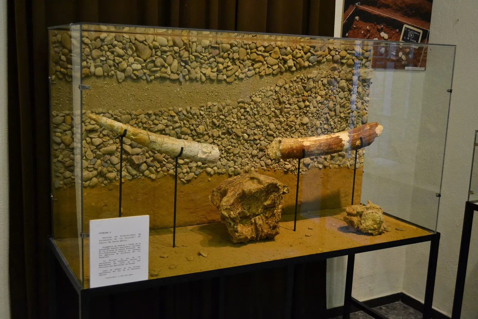 Museo Arqueológico Municipal