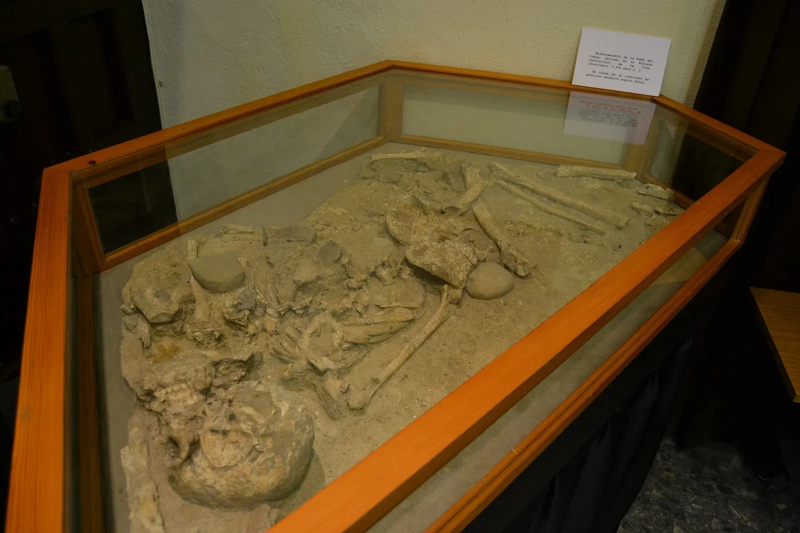 Museo Arqueológico Municipal de El Puerto de Santa María