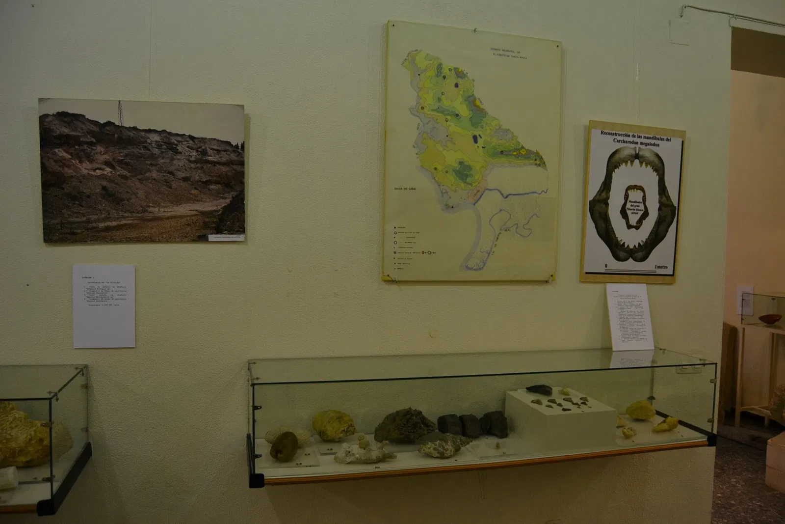 Museo Arqueológico Municipal de El Puerto de Santa María