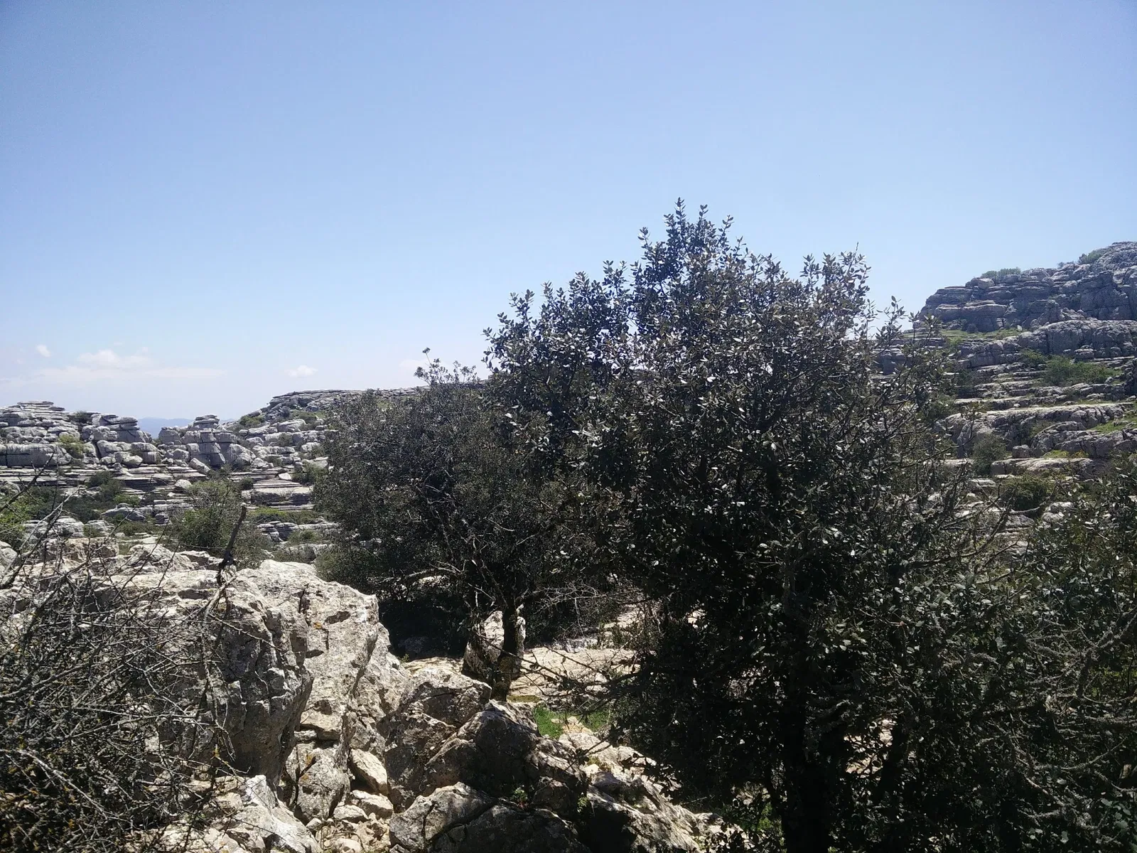 Torcal Alto Visitor Center