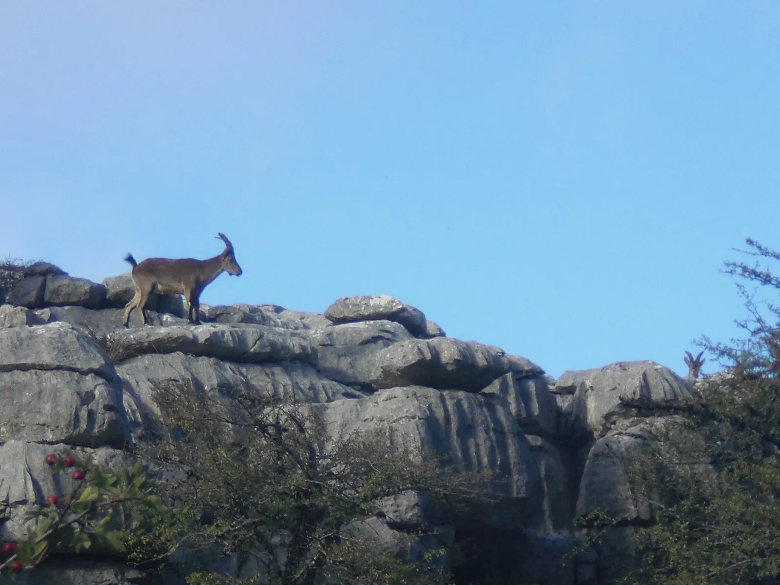 Torcal di Antequera
