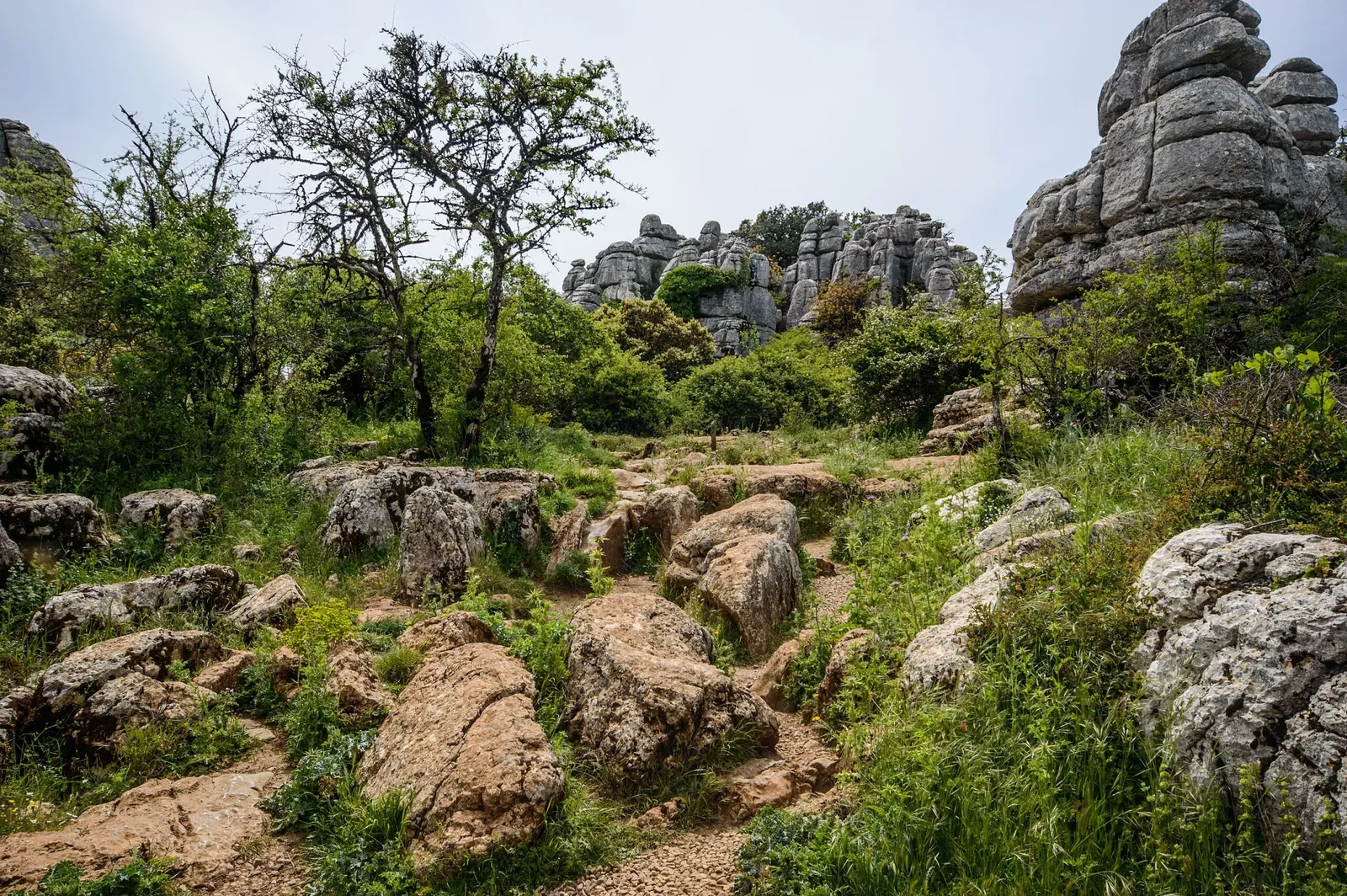 Centro de Visitantes Torcal Alto