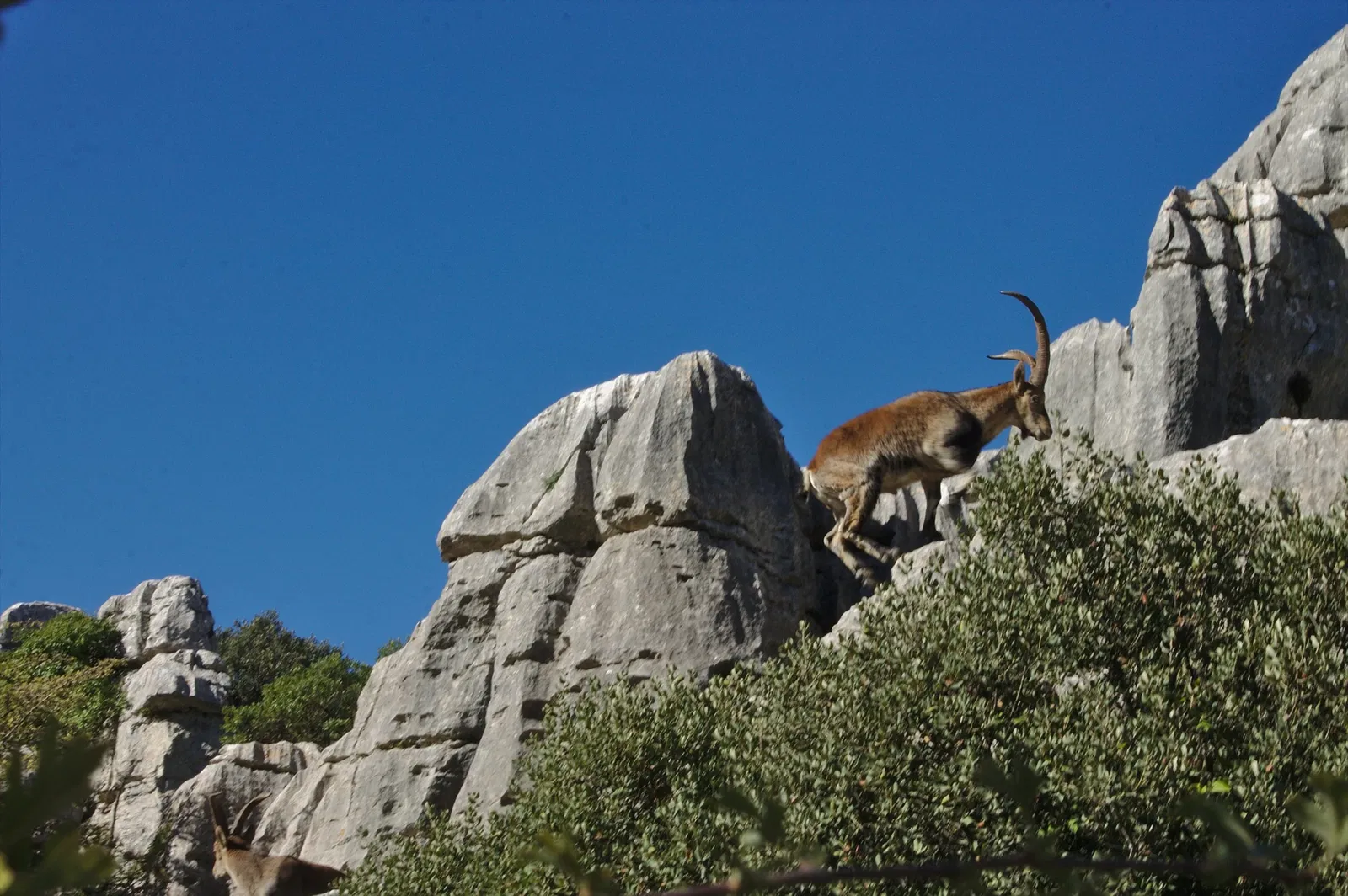 Torcal di Antequera