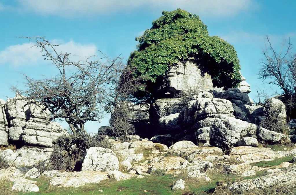 El Torcal
