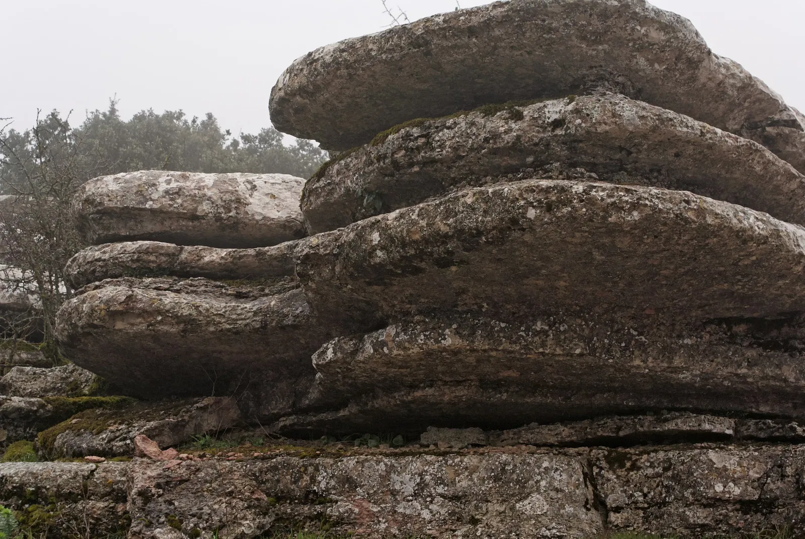 Centro de Visitantes Torcal Alto