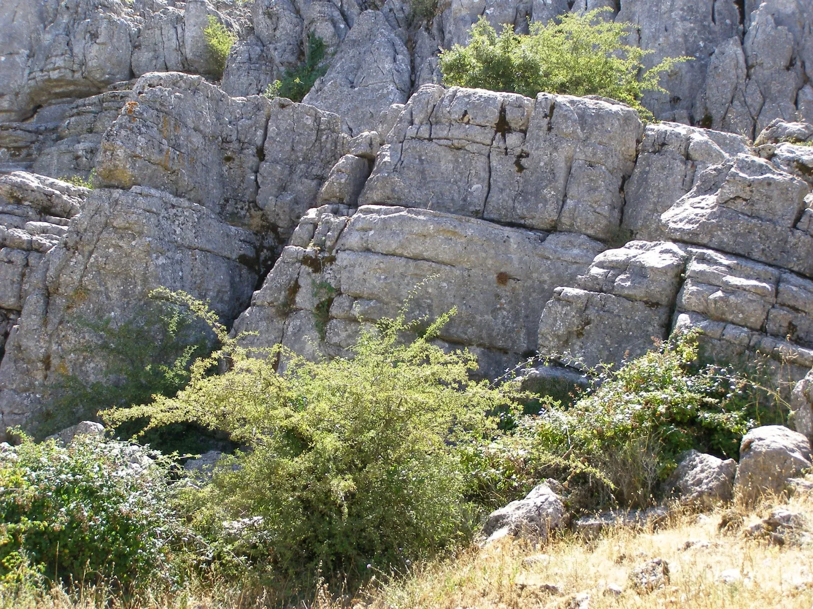 El Torcal