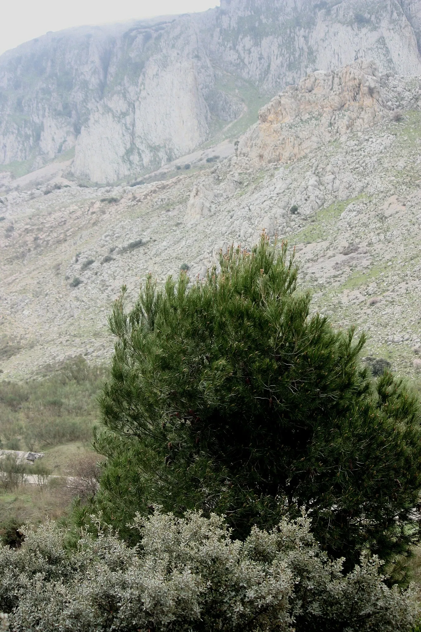 Centro de Visitantes Torcal Alto