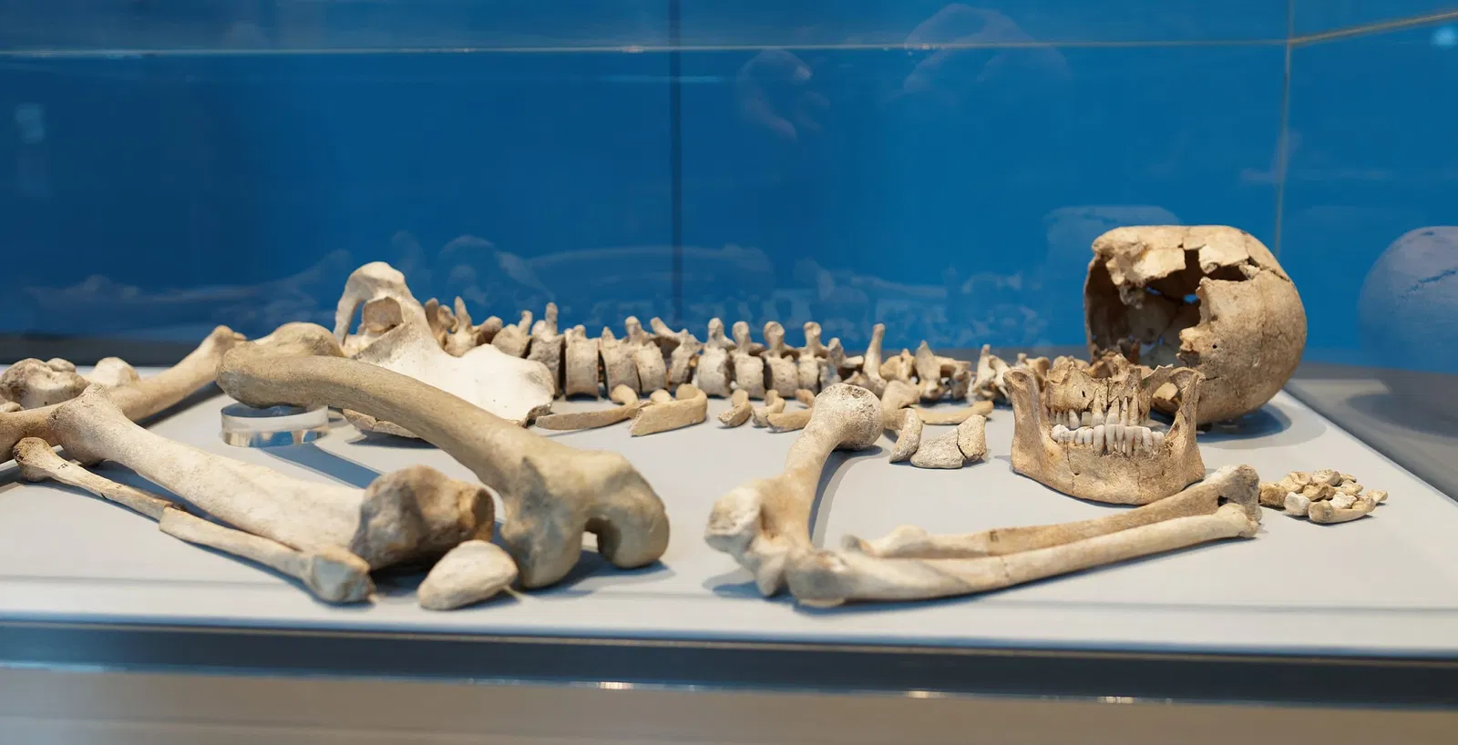 LWL Museum für Archäologie