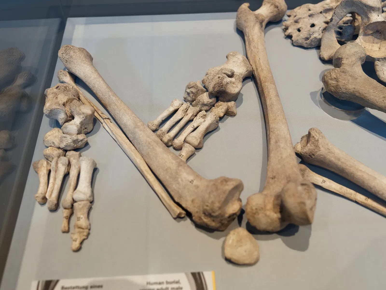 LWL Museum of Archeology