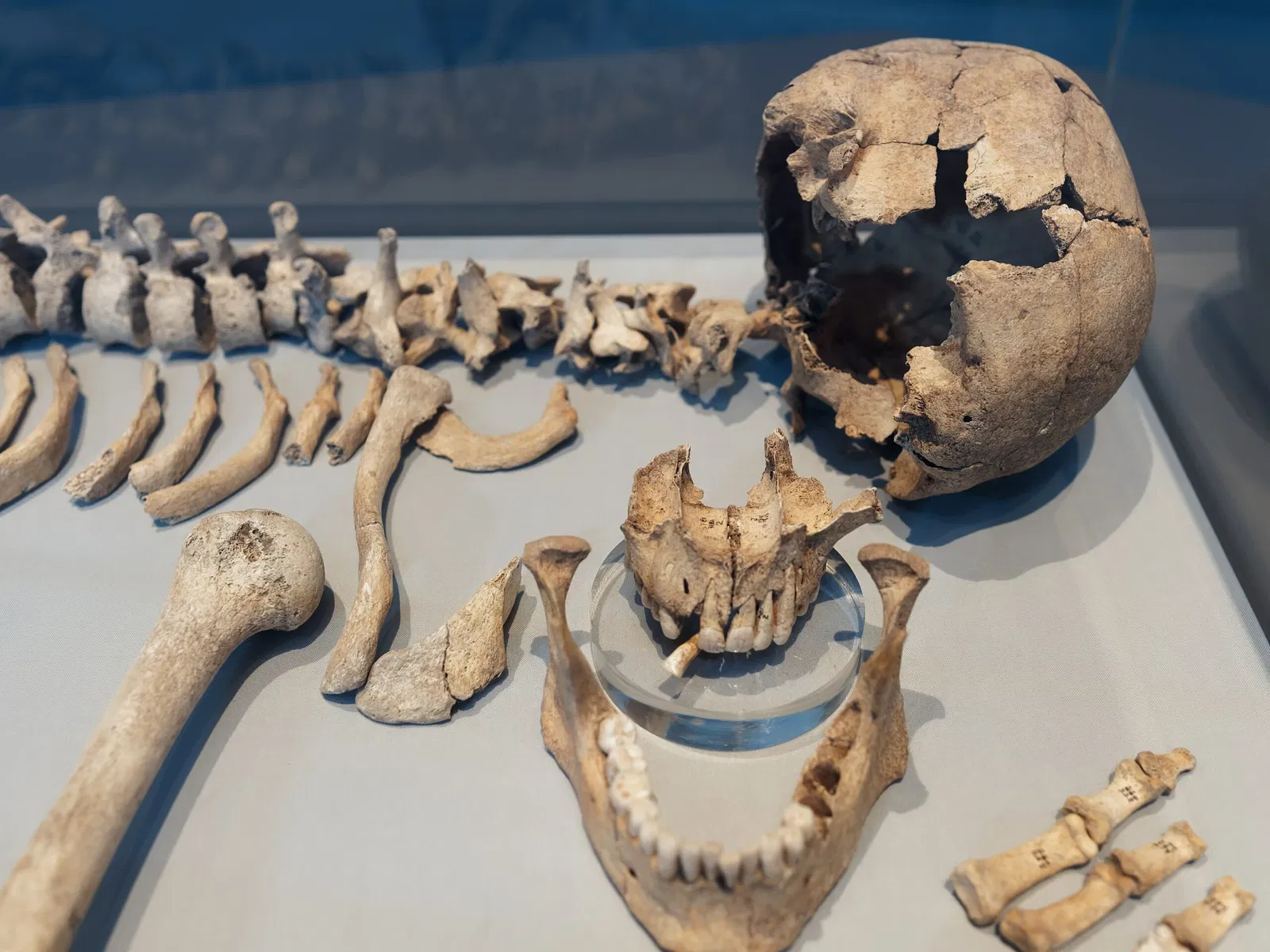 LWL Museum für Archäologie