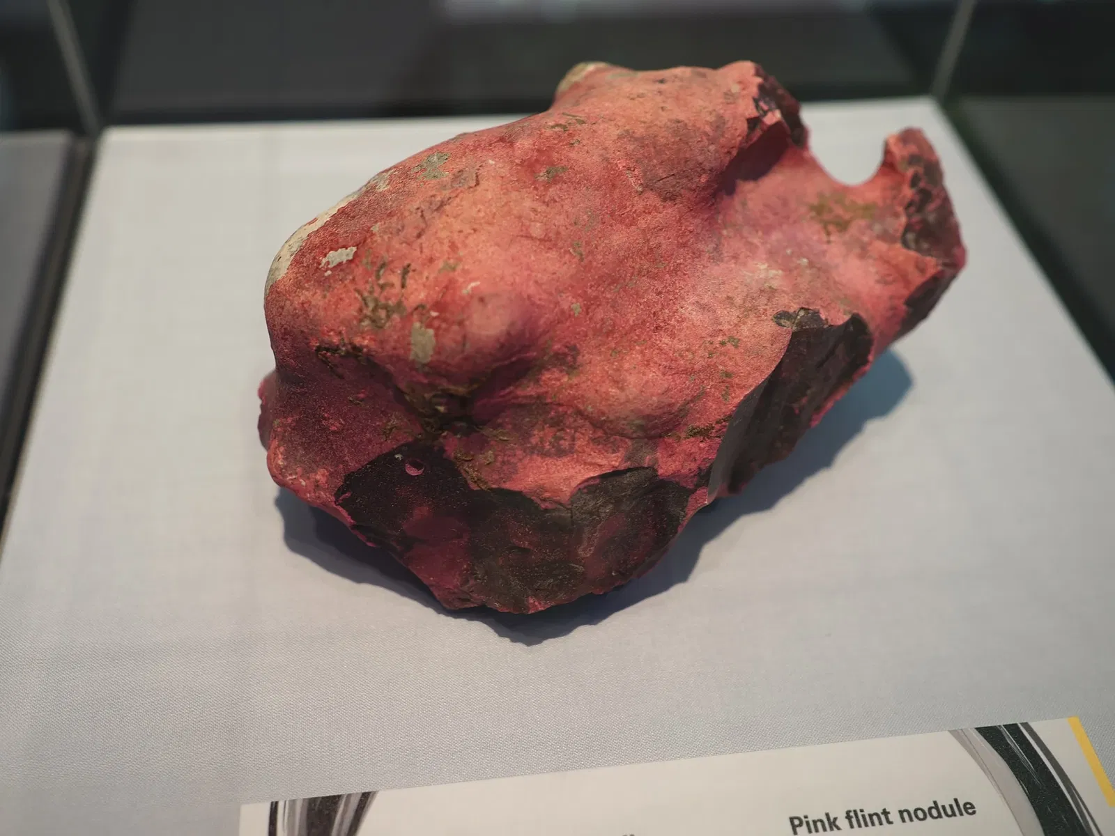 LWL Museum of Archeology