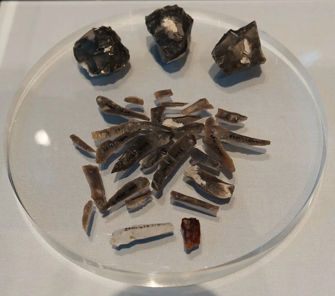 LWL Museum of Archeology