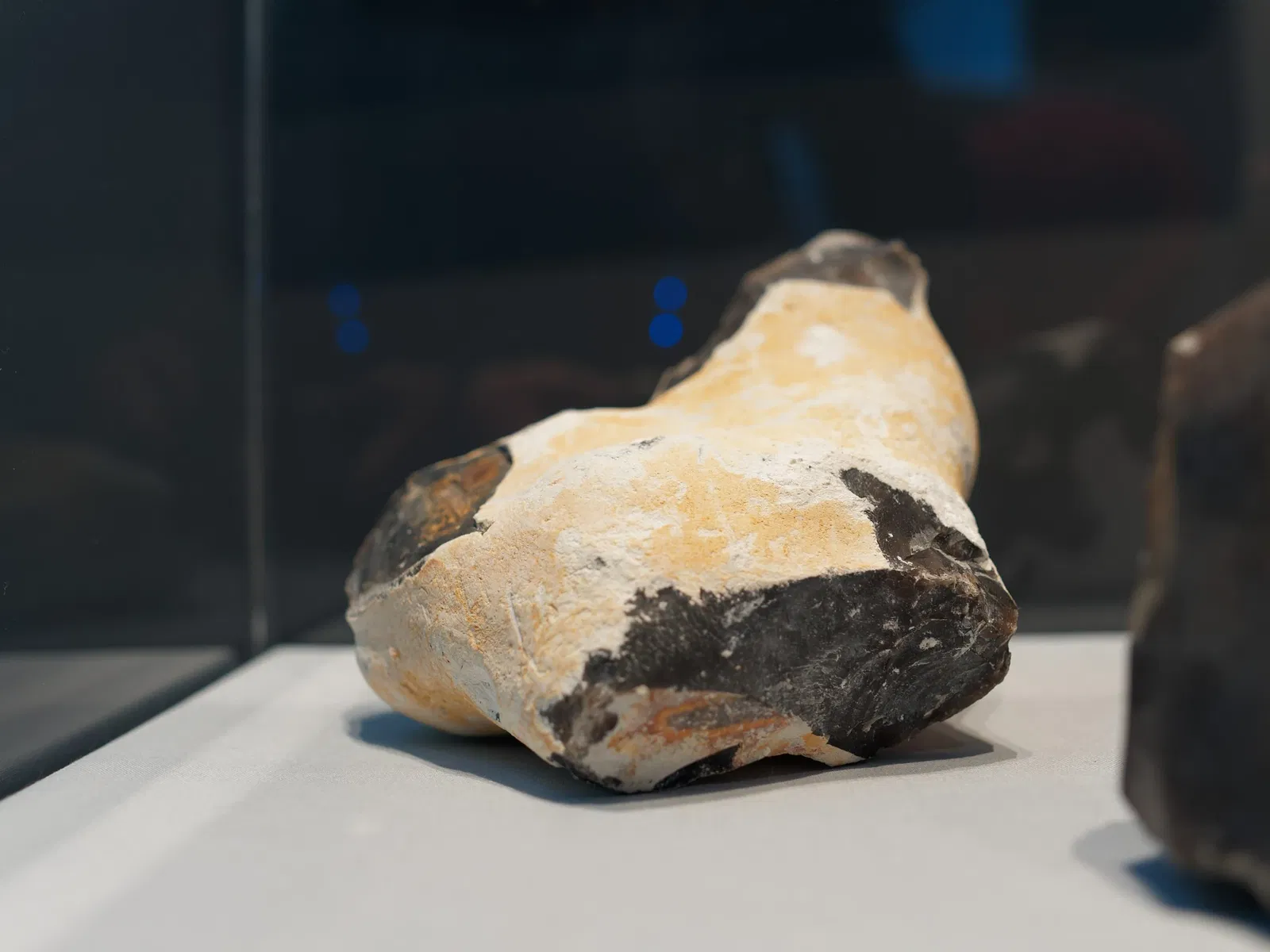 LWL Museum of Archeology