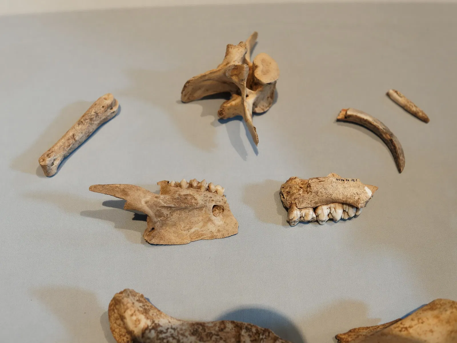 LWL Museum of Archeology